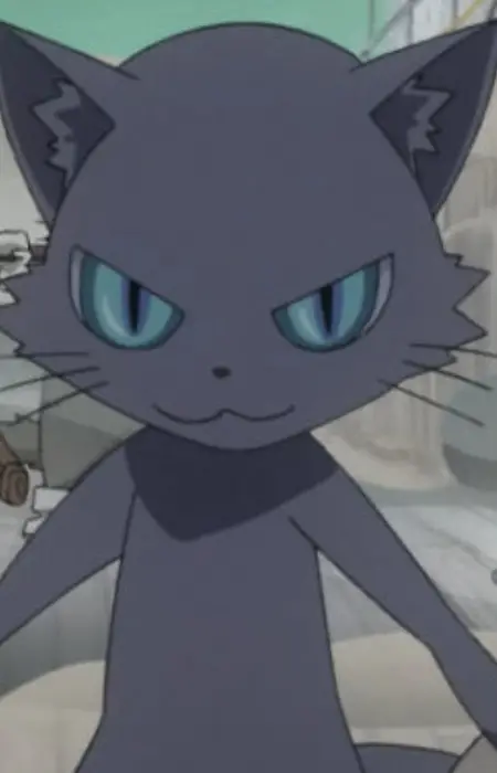 Leader Cat