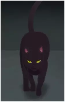 Nora Neko