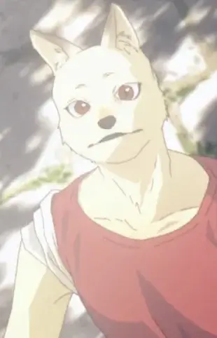 Aru
