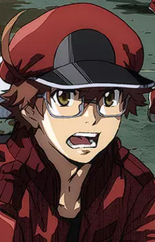Sekkekkyuu AA2153