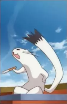 Chamomile, Albert