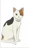 Luca
