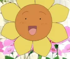 Blossom