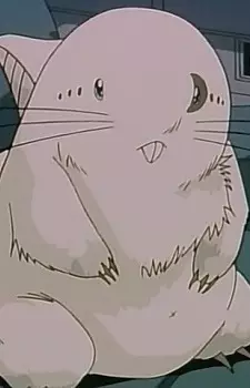 Tsukime