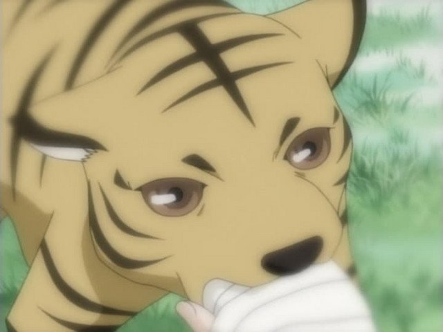 Ep. 17