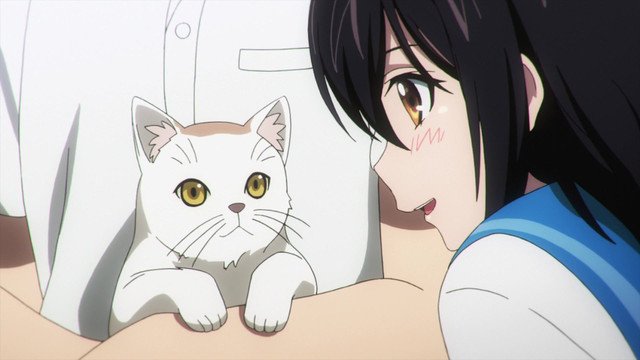Ep. 10